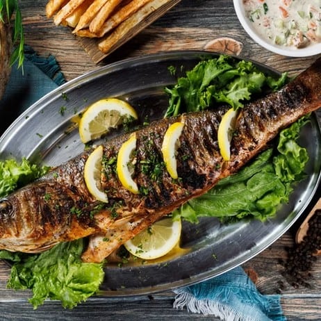 Mediterranean Sea Bass.